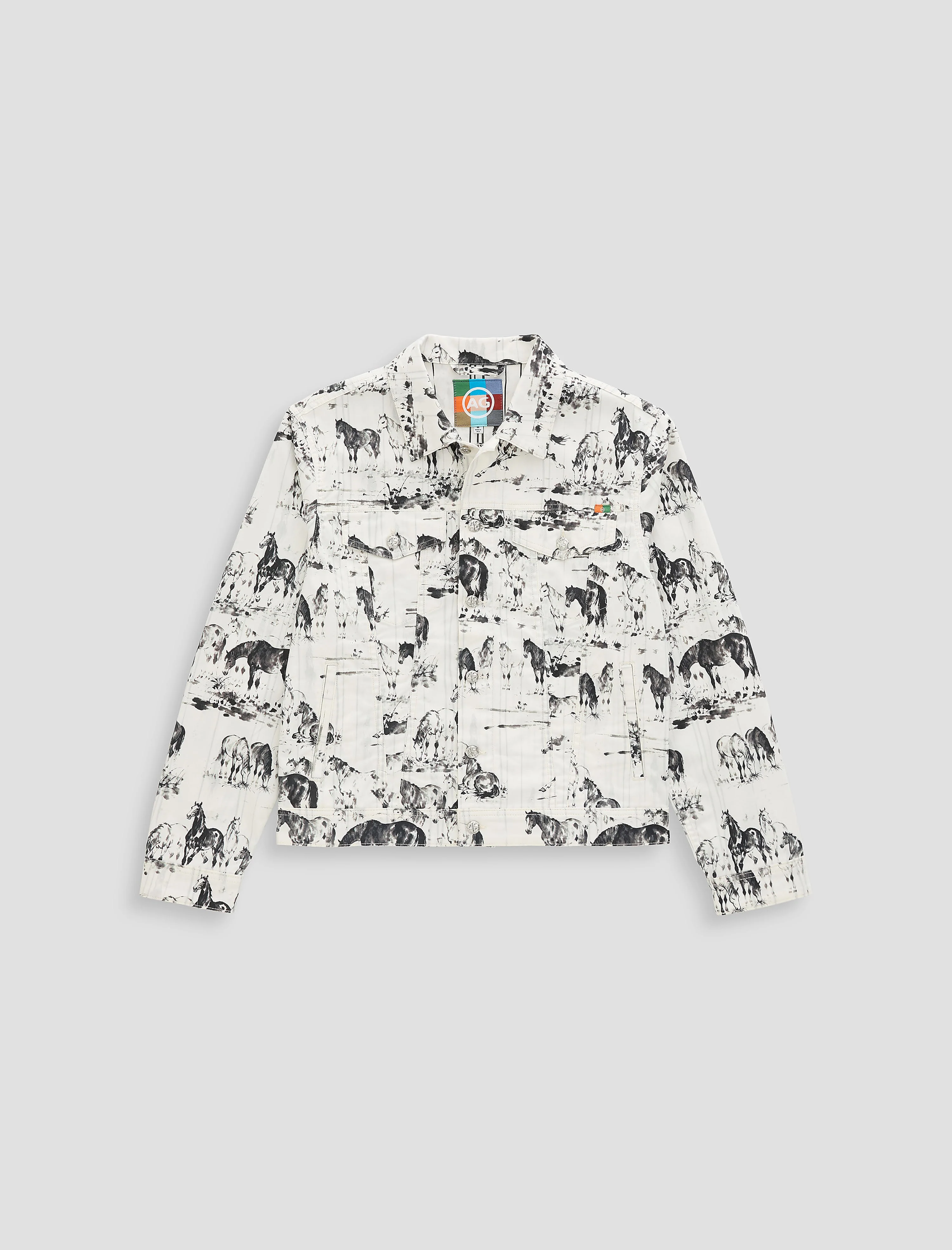 Dart Jacket